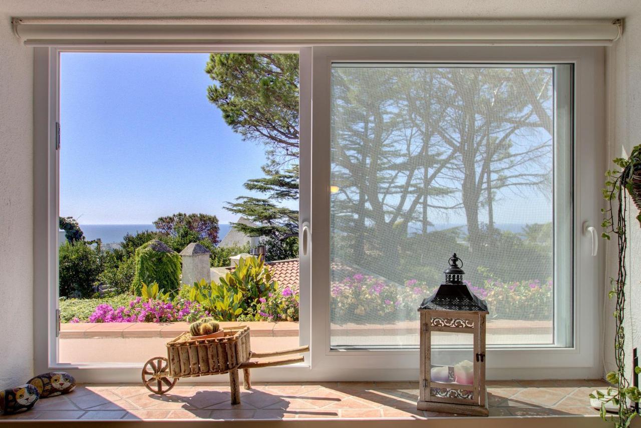 Lacco Terrace Solarium Lacco Ameno  Εξωτερικό φωτογραφία