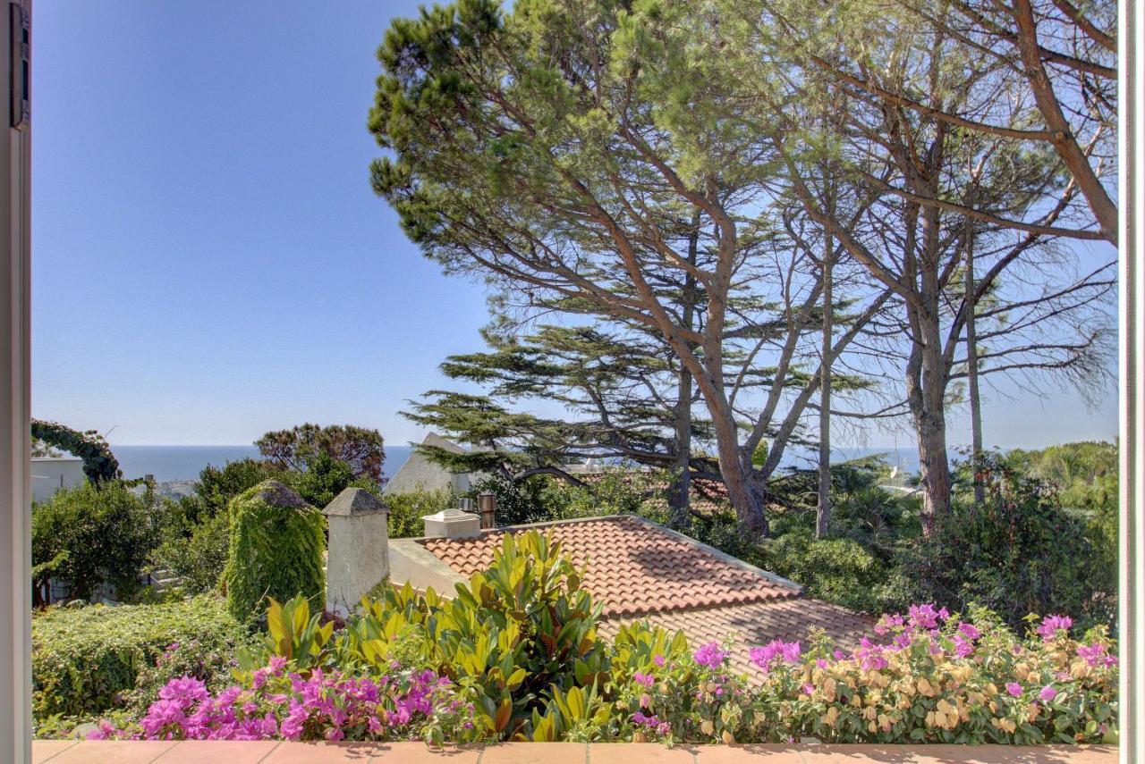 Lacco Terrace Solarium Lacco Ameno  Εξωτερικό φωτογραφία