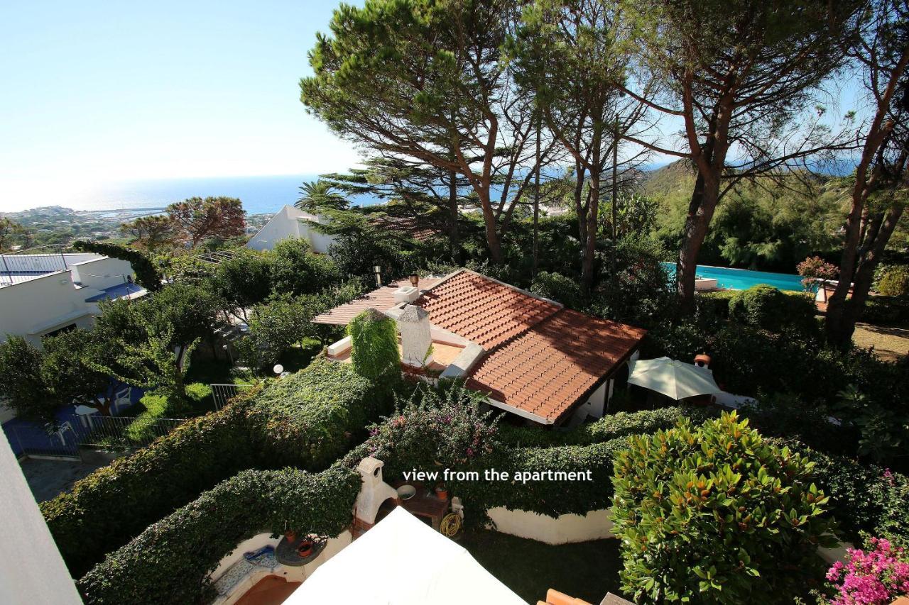 Lacco Terrace Solarium Lacco Ameno  Εξωτερικό φωτογραφία
